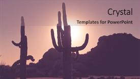  Presentation with saguaro - Slide deck having sunset in scottsdale arizona saguaro background and a coral colored foreground