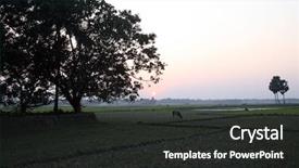  Presentation with cow - Cool new theme with sunset in sundarbans west bengal backdrop and a dark gray colored foreground