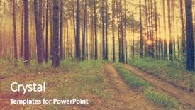  Presentation with dark forest - Slide deck enhanced with sunset in the dark forest background and a coral colored foreground