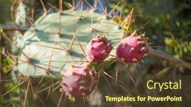  Presentation with desert - Slide deck enhanced with sunset-in-the-desert background and a  colored foreground