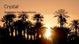  Presentation with palm - Colorful slide set enhanced with sunset in the desert backdrop and a coral colored foreground