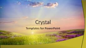  Presentation with field - Cool new slides with sunset in the flower field backdrop and a lemonade colored foreground