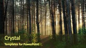  Presentation with foggy forest - PPT theme with sunset in the foggy forest background and a tawny brown colored foreground
