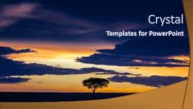  Presentation with tree silhouette - Audience pleasing slides consisting of sunset-in-the-masai-mara backdrop and a navy blue colored foreground