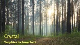  Presentation with misty - Presentation design featuring sunset in the misty forest background and a  colored foreground