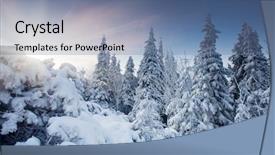  Presentation with winter - Audience pleasing slides consisting of sunset in the winter mountain backdrop and a seafoam green colored foreground