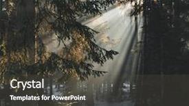  Presentation with forest winter - Audience pleasing PPT theme consisting of sunset in the wood between the trees strains in winter period sunset in a winter forest backdrop and a dark gray colored foreground