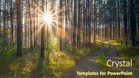  Presentation with forest road - Presentation design with sunset-in-the-woods-country background and a  colored foreground