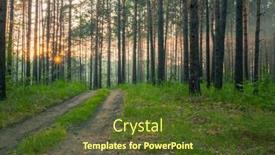  Presentation with forest road - PPT theme consisting of sunset-in-the-woods-country background and a  colored foreground