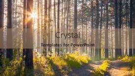  Presentation with nature sunset of colors - Slide set with sunset-in-the-woods-country background and a  colored foreground