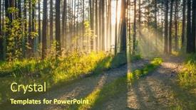  Presentation with forest road - Presentation theme featuring sunset-in-the-woods-country background and a  colored foreground