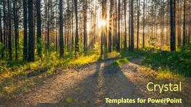  Presentation with forest road - Presentation theme consisting of sunset-in-the-woods-country background and a  colored foreground