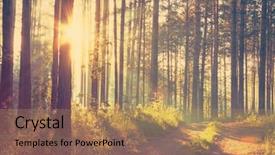  Presentation with film - Presentation theme consisting of sunset in the woods retro background and a coral colored foreground