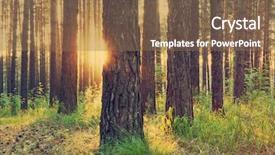  Presentation with woods - PPT layouts featuring sunset in the woods retro background and a coral colored foreground