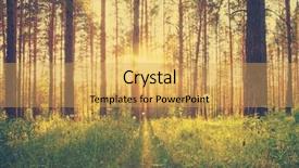  Presentation with woods - Presentation having sunset in the woods retro background and a yellow colored foreground