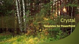  Presentation with woods - 