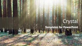  Presentation with woods - Colorful theme enhanced with sunset-in-the-woods backdrop and a  colored foreground
