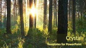  Presentation with woods - Beautiful PPT theme featuring sunset in the woods backdrop and a tawny brown colored foreground