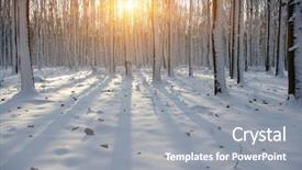  Presentation with winter forest - Colorful PPT theme enhanced with sunset in winter forest backdrop and a gray colored foreground