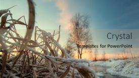  Presentation with winter river - Presentation enhanced with sunset near winter river photographed in the forest in russia in the 60 km from moscow background and a coral colored foreground