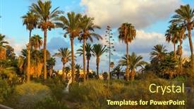  Presentation with world tourism - Presentation theme with sunset-old-yaffo-one background and a tawny brown colored foreground