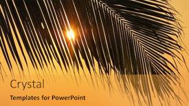  Presentation with tropical beach sunset - Presentation theme enhanced with sunset-on-a-beautiful-tropical background and a gold colored foreground