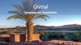  Presentation with palm tree - Presentation having sunset on a palm tree background and a  colored foreground