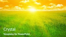  Presentation with floral spring frames - Amazing presentation having sunset on a spring field backdrop and a tawny brown colored foreground