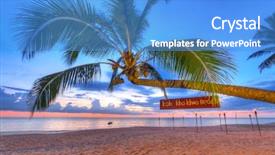  Presentation with coconut palm tree - Colorful slides enhanced with sunset on koh kho backdrop and a  colored foreground