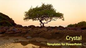  Presentation with goa beach - Colorful presentation enhanced with sunset on the goa beach backdrop and a tawny brown colored foreground