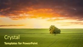  Presentation with field - PPT layouts consisting of sunset-over-a-beautiful-field and a  colored foreground