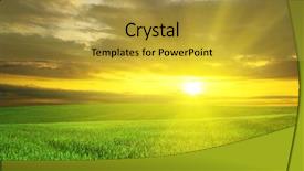  Presentation with green pastures - Amazing theme having sunset over agricultural green field backdrop and a yellow colored foreground