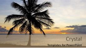  Presentation with caribbean - Amazing theme having sunset-over-caribbean-sea-barbados backdrop and a coral colored foreground