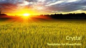  Presentation with crop - Presentation enhanced with sunset over crop field background and a tawny brown colored foreground
