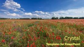  Presentation with poppies - Beautiful presentation design featuring sunset over field with red poppies backdrop and a tawny brown colored foreground
