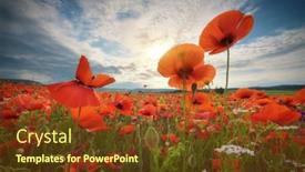  Presentation with poppies - Slide set with sunset-over-field-with-red background and a tawny brown colored foreground