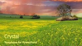  Presentation with beautiful midnight sun over - Cool new slides with sunset over the rapeseed field backdrop and a tawny brown colored foreground