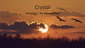  Presentation with trees - Colorful slide deck enhanced with sunset over trees with sandhill backdrop and a red colored foreground