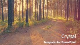  Presentation with woods - Colorful slide deck enhanced with sunset road in the woods retro film filtered instagram style backdrop and a coral colored foreground