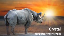  Presentation with ecology animal - Slide deck featuring sunset saving big african animal background and a violet colored foreground