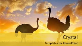 Presentation with african sunset - Beautiful PPT layouts featuring sunset sky african wild animal backdrop and a yellow colored foreground