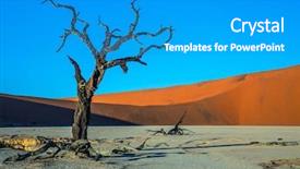  Presentation with ecotourism - Colorful theme enhanced with sunset the bottom of dried backdrop and a teal colored foreground