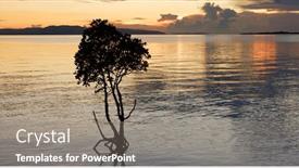  Presentation with island sunset - Amazing presentation having sunset time and sea at ishigaki island backdrop and a gray colored foreground