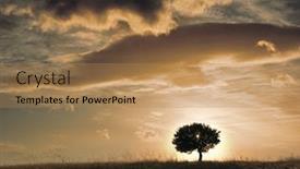  Presentation with horizon - Amazing PPT layouts having sunset-tree-on-horizon-above backdrop and a coral colored foreground