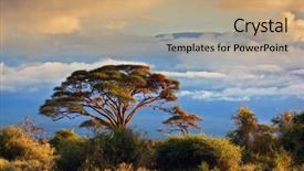  Presentation with savanna - Slide deck with sliced avocado on wooden table background and a dark gray colored foreground