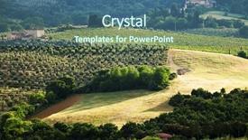  Presentation with vine - PPT layouts enhanced with sunset wineyard - vine in tuscany italy europe background and a ocean colored foreground