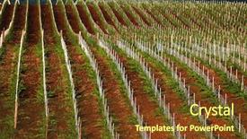  Presentation with octagon in italy - Cool new PPT theme with sunset wineyard - vineyard in tuscany italy europe backdrop and a tawny brown colored foreground