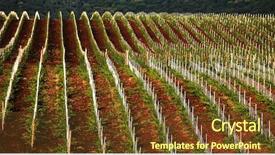  Presentation with tuscany - Slide deck featuring sunset wineyard - vineyard in tuscany italy europe background and a  colored foreground