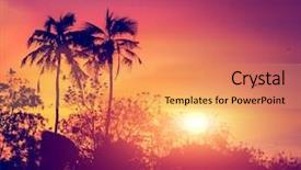  Presentation with sri lanka temples - Amazing PPT theme having sunset with birds at bird backdrop and a coral colored foreground