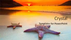  Presentation with sea sun - Amazing PPT theme having sunset with dramatic sky clouds backdrop and a yellow colored foreground